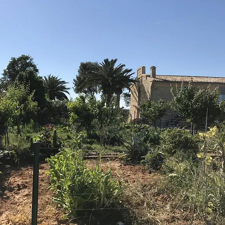 מלון Masia El Teular סוואקה